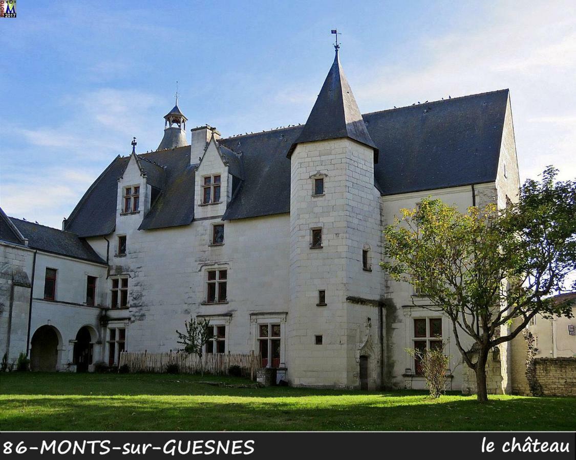 Domaine De Bourgville Monts-sur-Guesnes Exterior foto
